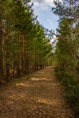 Easy time in the Urals