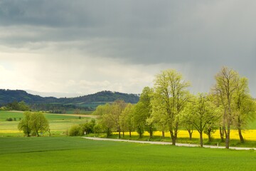 Beautiful green czech country side landscape with mountain in background during cloudy day, Czechia, central Europe