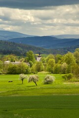 Fototapeta na wymiar Beautiful green czech country side landscape with mountain in background during cloudy day, Czechia, central Europe