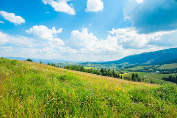 Fototapeta na wymiar meadow covered with grass and plants on a background of mountains on a warm summer day blue sky in the clouds. Landscape of green mountains.
