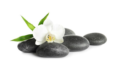 Obraz na płótnie Canvas Spa stones, beautiful orchid flower and bamboo sprout on white background