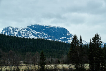 Spring in Hemsedal, Norway. The snow is melting and summer is coming. Beautiful landscape in a over casted day. 