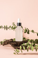 Serum bottle with fresh leaves and bark at pastel background. Moisturising, reparing, skincare product.