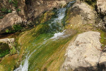 Obraz premium a mountain stream high in the mountains of northern Israel