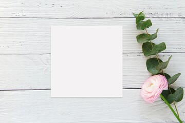 Square greeting card, invitation, thank you card mockup, washed wood background with eucalyptus...