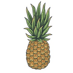 Fototapeta premium Pineapple fresh exotic juicy fruit. summer tropical nature ananas and organic for food bar