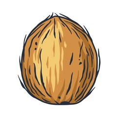 Coconut exotic cocktail. Tropical beach summer fruit coco. Hawaii nature drink bar