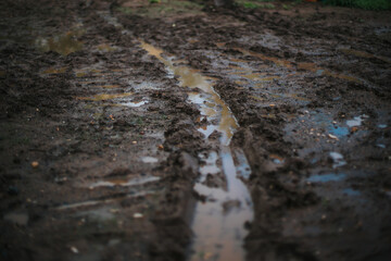 puddle of mud with car tracks after heavy rain