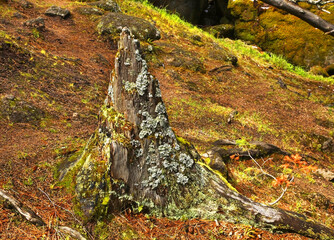 Stolby Nature Sanctuary near Krasnoyarsk. Russia