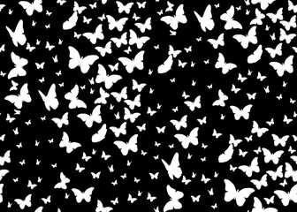 Seamless butterfly pattern
