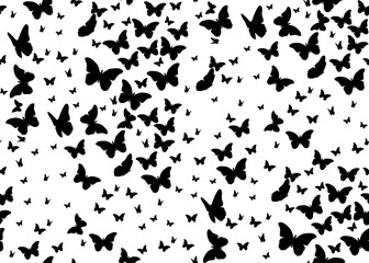 Fototapeta na wymiar Seamless butterfly pattern