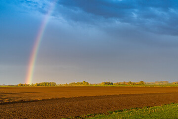 rainbow in an overcast sky in golden evening light over freshly plowed farm field