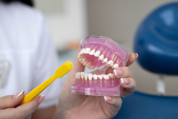 Fototapeta na wymiar artificial teeth in dentistry toothbrush