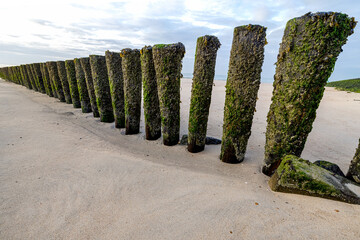 Pile heads in the north sea at Vlissingen, Holland, used as groynes
