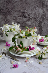 Vertical spring composition. White flowers of an apple tree in porcelain cups and saucers on a gray marble background. Spring time