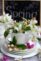 Close-up of a white porcelain cup with delicate flowers of an apple tree on a gray background. Vertical. Spring composition