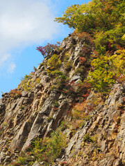 切り立った崖に育つ木の紅葉と青空