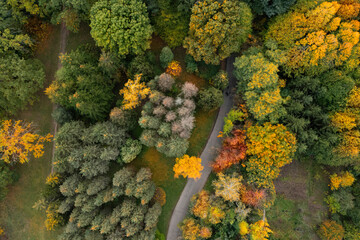 Aerial view of beautiful autumn park with path