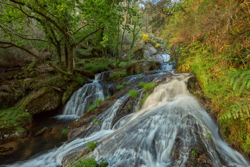 Obraz premium Waterfall in a beautiful forest in the area of Galicia, Spain.