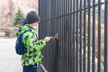 A boy at the zoo feeds an animal deer carrots through the bars of the grate