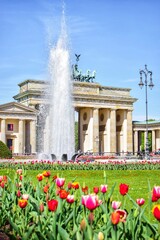 Fountain and tulips in the background of the Brandenburg Gate.  Berlin, Germany