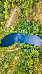 For&ecirc;t de Broc&eacute;liande
