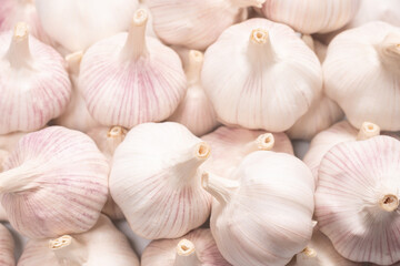 Garlic isolated on a white background.