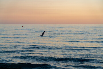 Fototapeta premium sunset Time in Liguria Italy