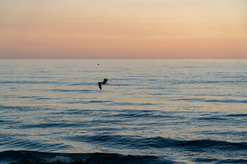 Fototapeta na wymiar sunset Time in Liguria Italy