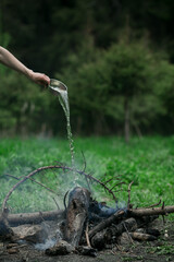 A man puts out a fire in the forest.