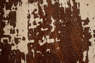 Old rustic wooden texture. Resource for designers.