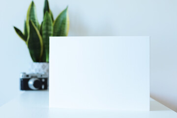 blank white paper mockup with old vintage camera and pot flower