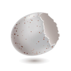 Egg broken shell chicken white spotted vector illustration