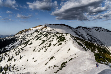 Maramures mountains in the May
