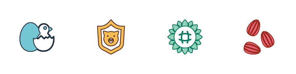 Set Little chick in cracked egg, Shield with pig, Sunflower and Seeds icon. Vector