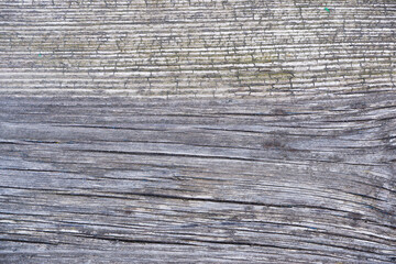 Natural wood background. The texture of the shabby weathered board.