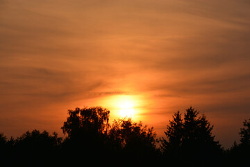 Sunset behind trees