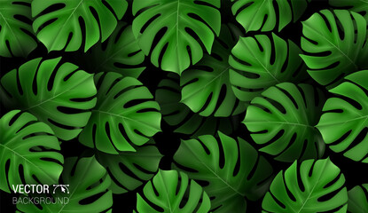 Natural Realistic vector tropical pattern with green monstera palm leaves on dark background. Exotic hawaiian Design template for advertising web social media and fashion ads.