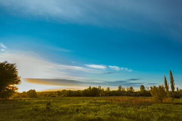 autumn landscape with trees