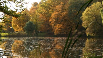 Jesienny krajobraz Polska - 434122495