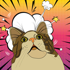 Funny cat on the background of the explosion. Pop art illustration. Meme cat. Vector illustration in retro comic style - obrazy, fototapety, plakaty