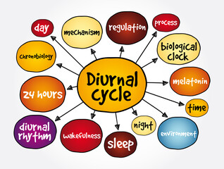 Naklejka premium Diurnal cycle mind map, concept for presentations and reports