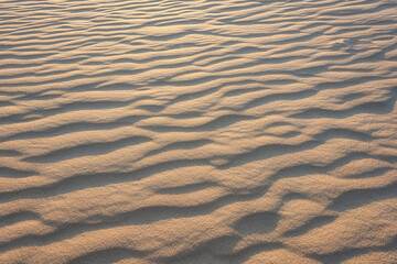 Sand dunes in the desert, natural abstract background, closeup texture