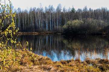 lake in autumn