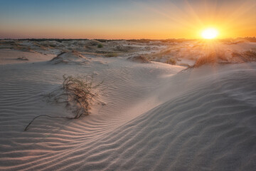 Sand dunes of the desert at sunset, scenic landscape, Oleshky Sands nature park (Oleshkivski...