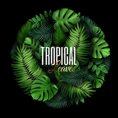 Natural Realistic Green Palm Leaf Tropical Circle Background. Summer Time Concept. Template for advertising web social media and fashion ads. Vector illustration.