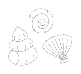 Three shells of different molluscs.Isolated contour black and white objects on a white background.