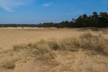 Fototapeta premium zandverstuiving de haere
