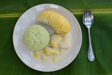 Thai sweet sticky rice with Durian.dessert popular in Thailand.Sticky rice made from pandan leaves