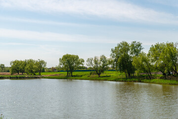 Lake in the park with trees on the shore